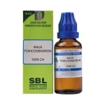 SBL Rhus Toxicodendron Dilution 1000CH 30ml